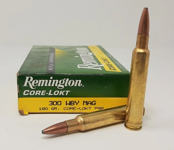 .300 WBY Mag PSP CL CoreLokt 11.66g / 180grs