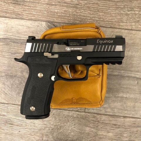 P320 AXG Equinox