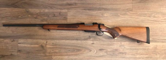 557 American gaucher