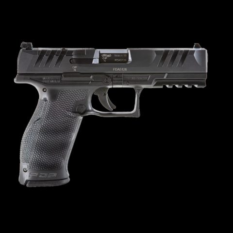 PDP FS - 4.5''