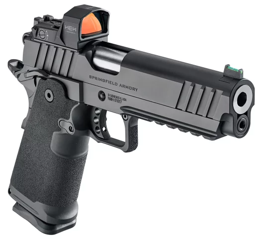 1911 Prodigy AOS 5'' / HEX Dragonfly